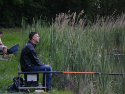 Competities HSV Alfheim